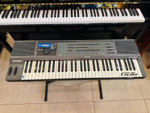 Đàn Organ Casio Nhật giá rẻ