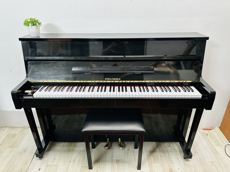 Đàn Piano giả cơ Columbia thanh lý giá rẻ
