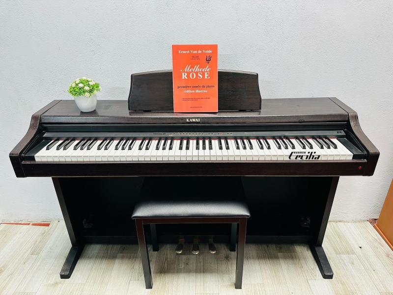 Đàn Piano Kawai PN290