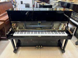 Thu Mua Piano, Organ Tại Hà Nội – Giá Cao – Gọi Ngay 0989.999.823