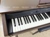 piano-dien-gia-re-casio-ap-250-piano-gia-re-lua-chon-chat-luong-cho-nguoi-hoc-tap-va-bieu-dien - ảnh nhỏ 2