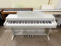 Bowman CX200 – Đàn Piano Điện Đẳng Cấp Cho Người Mới Bắt Đầu Và Biểu Diễn Chuyên Nghiệp