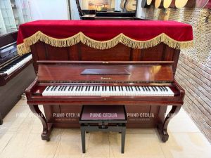 Piano Cơ ROSEN Nội Địa Nhật Giá Chỉ 14 Triệu – Đẹp Sang, Âm Thanh Hay, Giá Cực Tốt