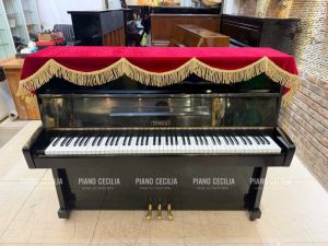 PIANO CƠ TONICA GIÁ RẺ – ĐÀN PIANO NỘI ĐỊA NHẬT THANH LÝ CHỈ 12 TRIỆU