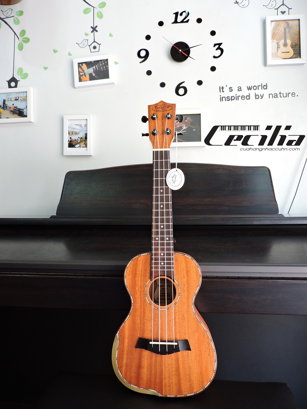 dan_ukulele_concert_uk_401_1