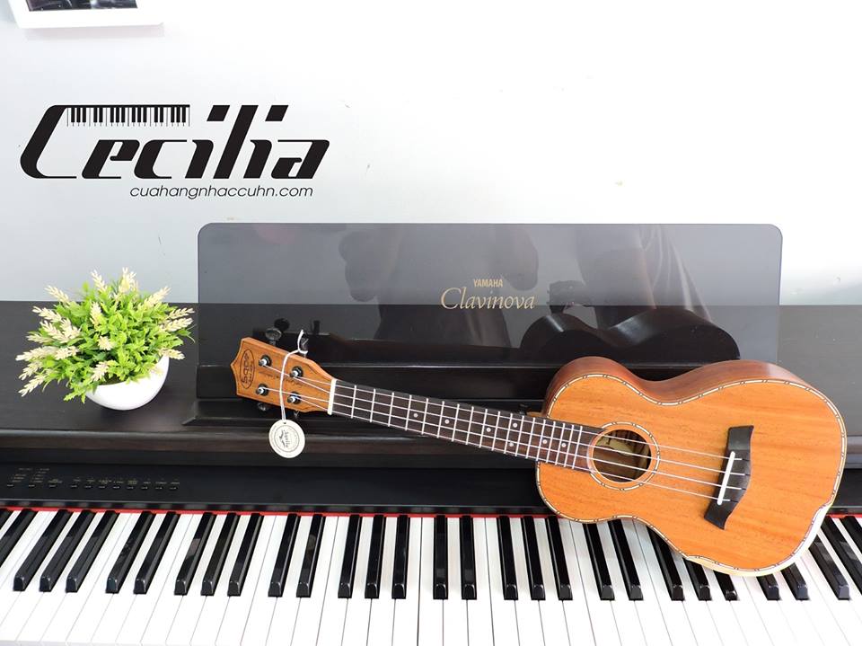 ukulele_uk_401